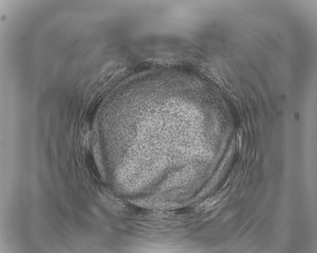 X0000088401251200706121226