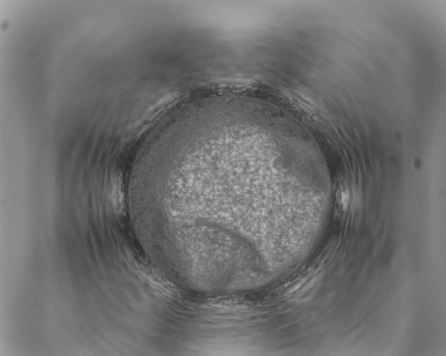 X0000088401252200706121226