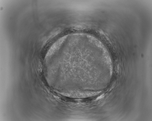 X0000088401253200706121226