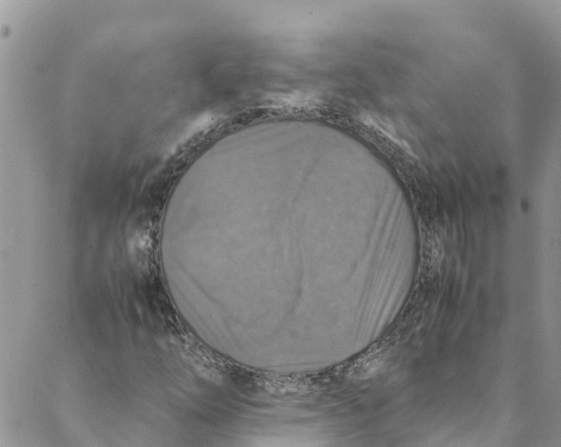 X0000088401254200706121226