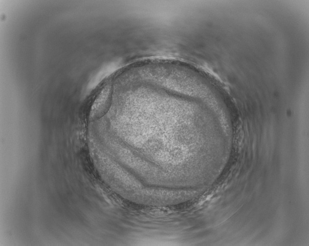 X0000088401255200706121226