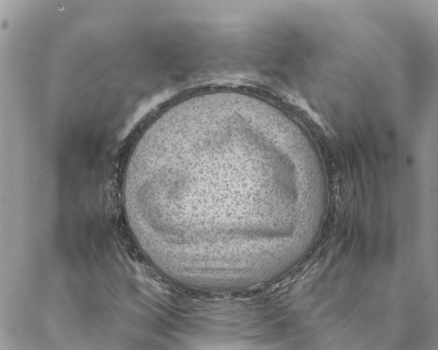 X0000088401256200706121226