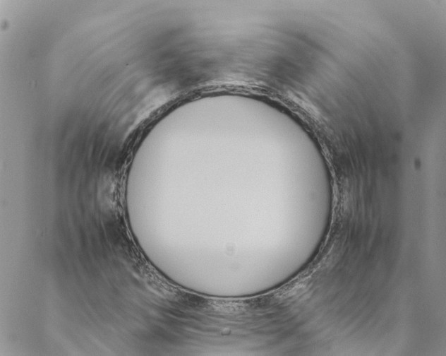 X0000088401258200706121226