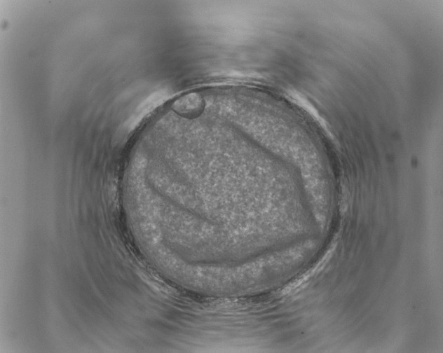 X0000088401259200706121226