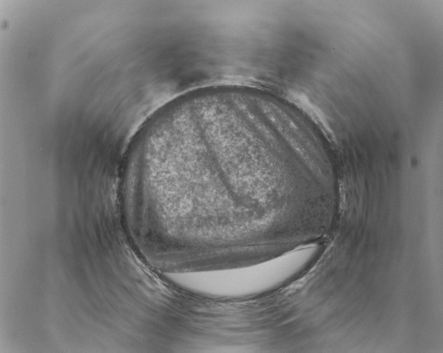 X0000088401260200706121226