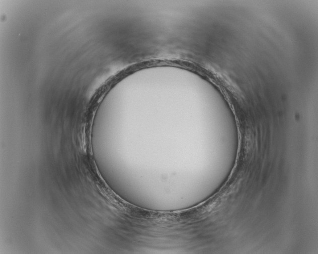 X0000088401262200706121226