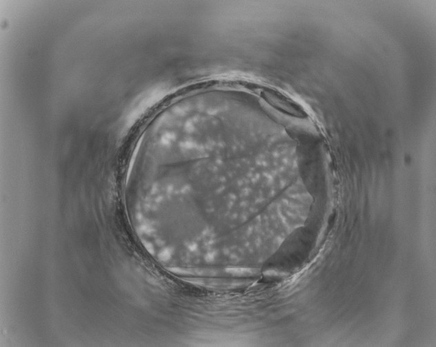 X0000088401263200706121226