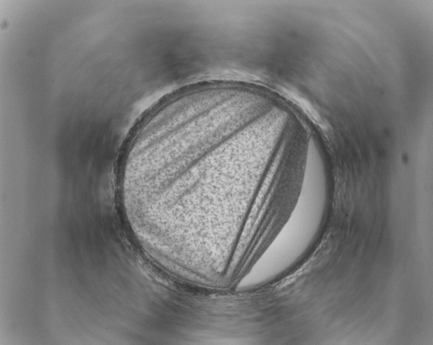 X0000088401264200706121226