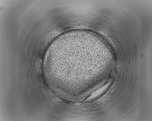 X0000088401265200706121226