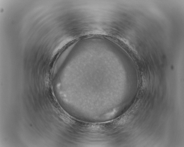 X0000088401266200706121226