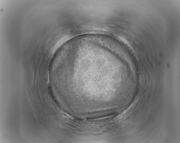 X0000088401267200706121226