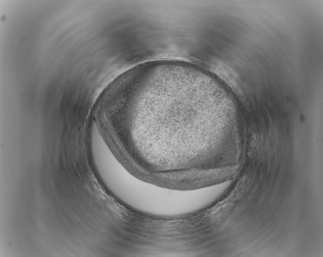 X0000088401268200706121226