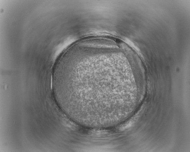 X0000088401269200706121226