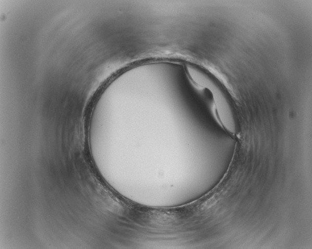 X0000088401270200706121226