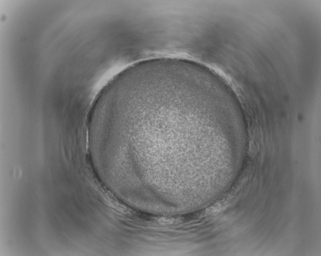 X0000088401271200706121226