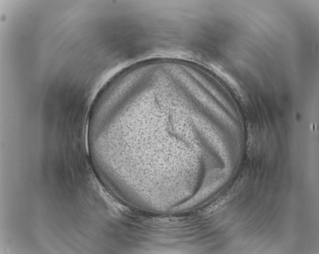 X0000088401272200706121226