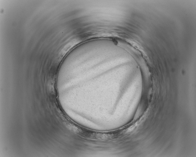 X0000088401273200706121226