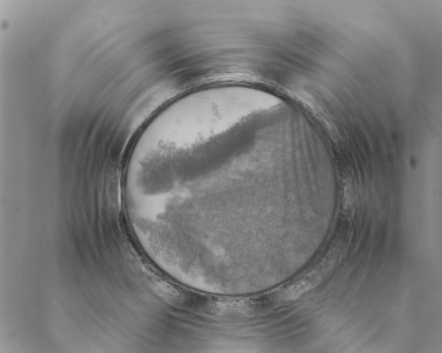 X0000088401274200706121226