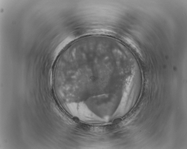 X0000088401275200706121226