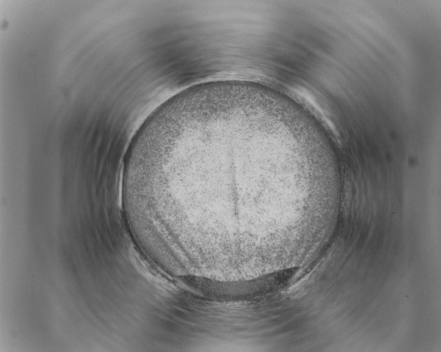 X0000088401276200706121226