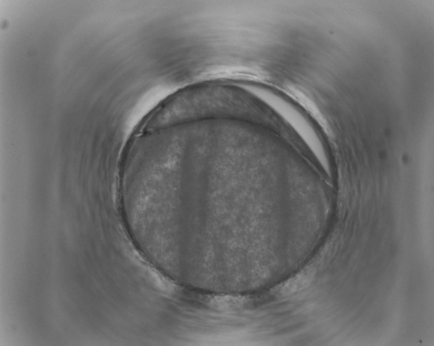 X0000088401277200706121226