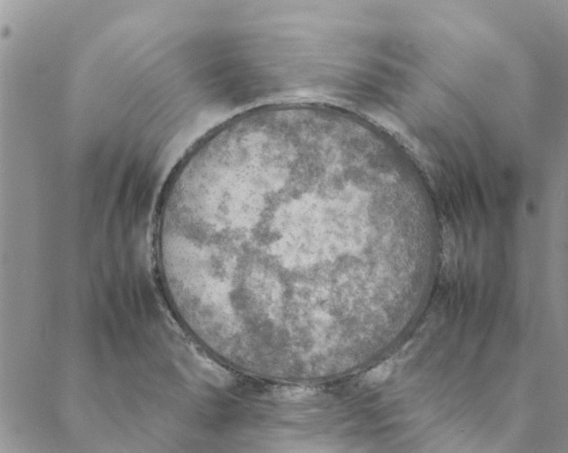 X0000088401278200706121226