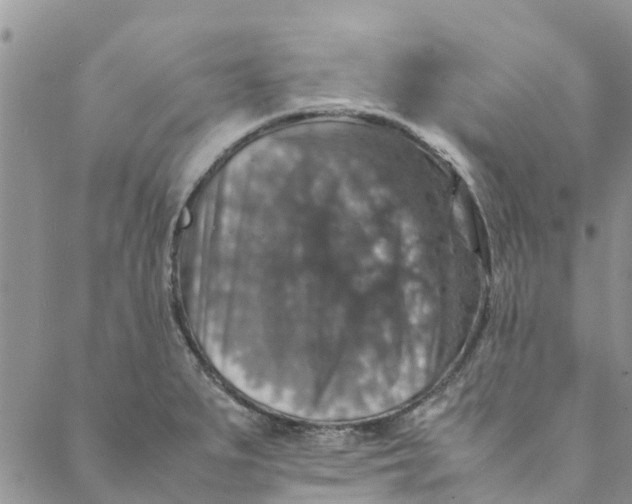 X0000088401279200706121226