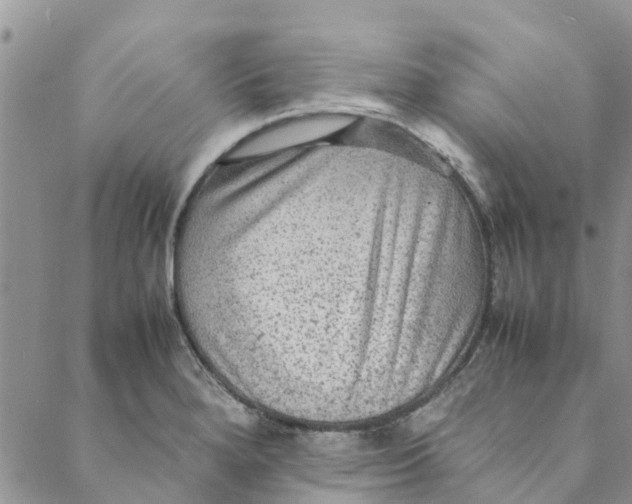 X0000088401280200706121226