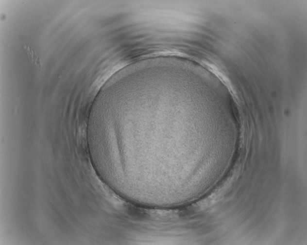 X0000088401281200706121226