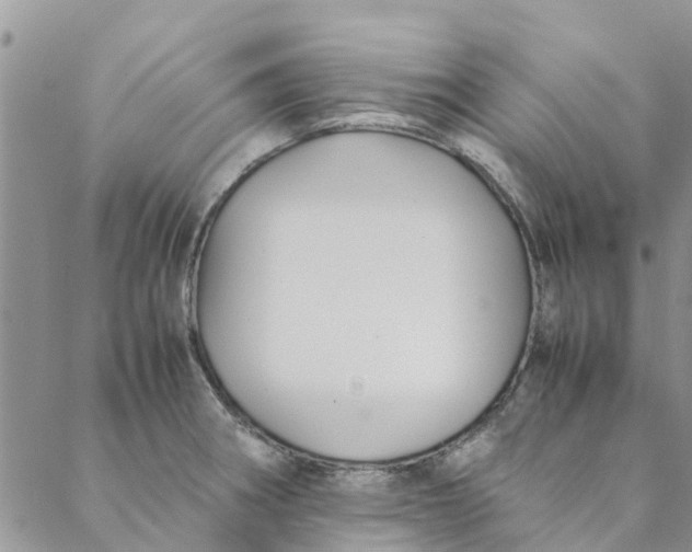 X0000088401282200706121226