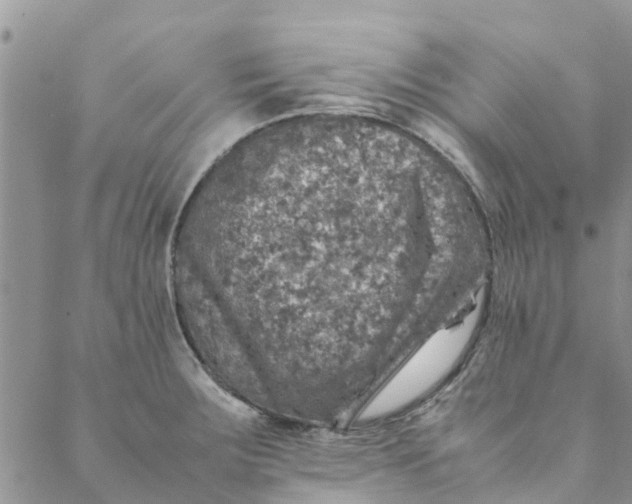 X0000088401283200706121226