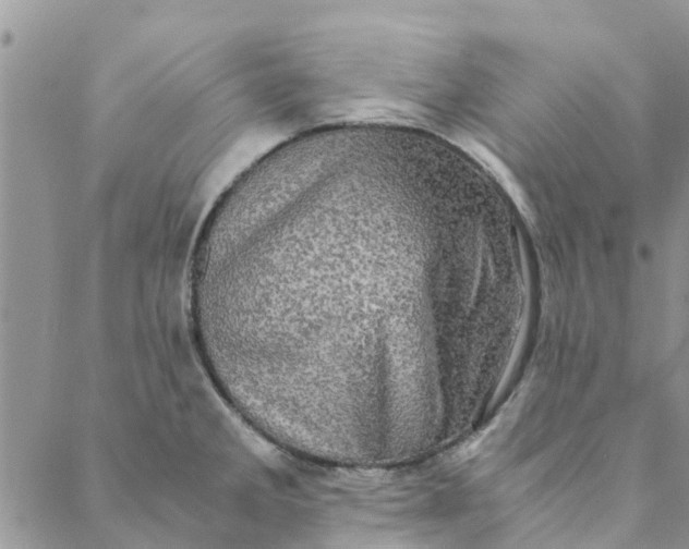 X0000088401285200706121226