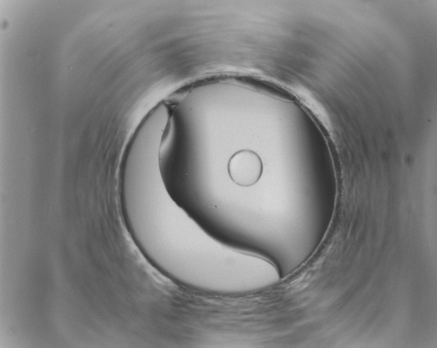 X0000088401287200706121226