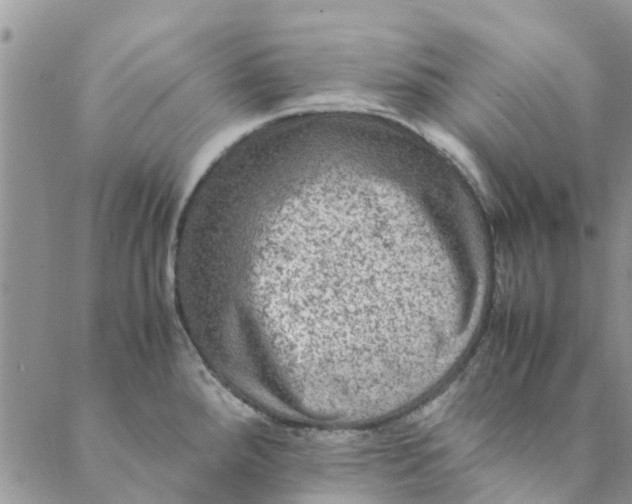 X0000088401288200706121226