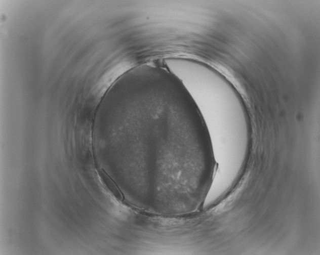 X0000088401289200706121226