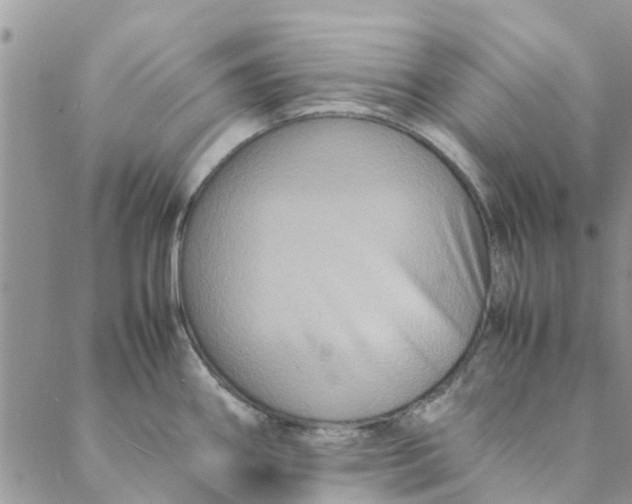 X0000088401290200706121226