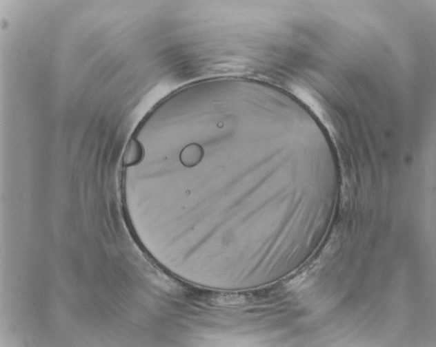 X0000088401291200706121225