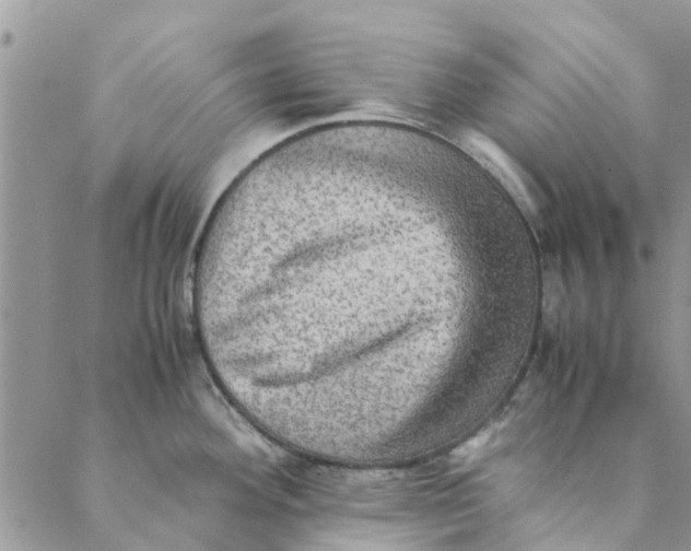 X0000088401292200706121225