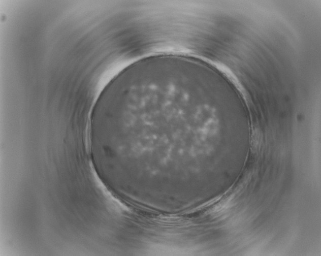 X0000088401295200706121225