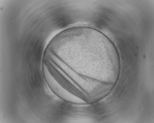 X0000088401296200706121225