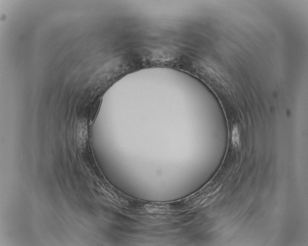 X0000088401299200706121225