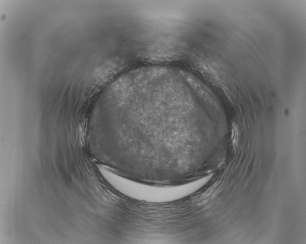 X0000088401300200706121225