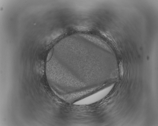 X0000088401301200706121225