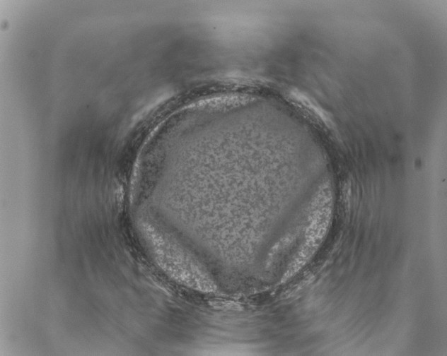 X0000088401302200706121225