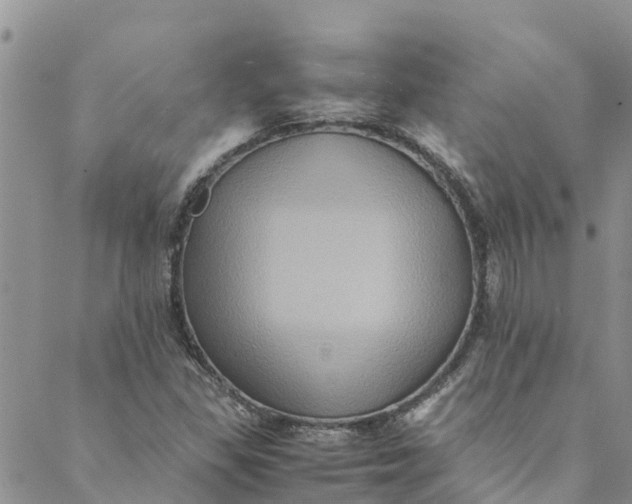 X0000088401309200706121225