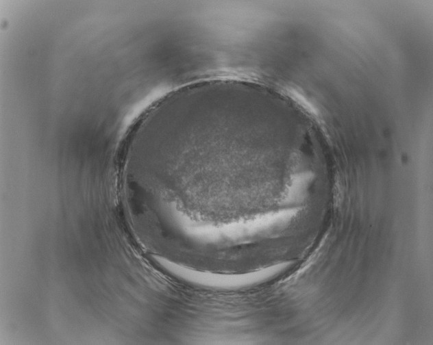 X0000088401310200706121225