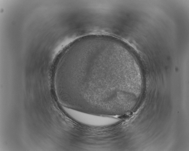 X0000088401311200706121225