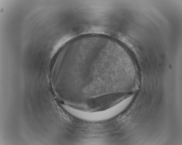 X0000088401312200706121225