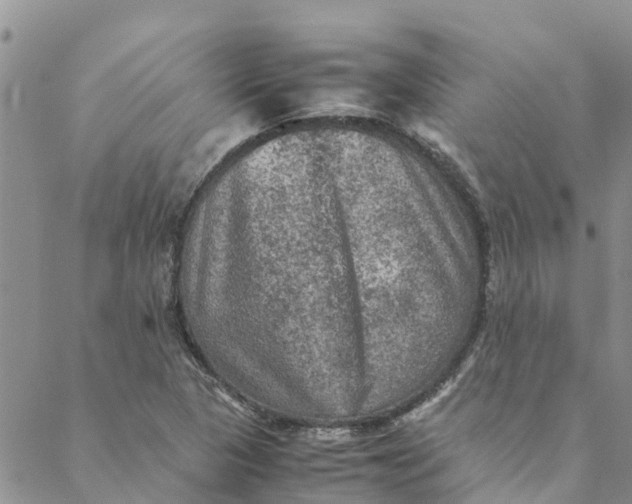 X0000088401313200706121225