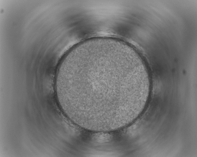 X0000088401314200706121225